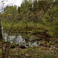 mikytu-alkakalnis_03