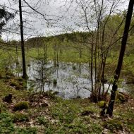 mikytu-alkakalnis_04