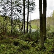 mikytu-alkakalnis_08