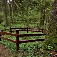 mikytu-alkakalnis_11