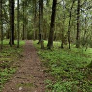 mikytu-alkakalnis_13