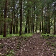 mikytu-alkakalnis_14