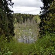 mikytu-alkakalnis_17