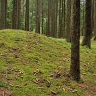 Mohylové pohřebiště u Vitína