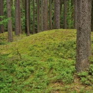 Mohylové pohřebiště u Vitína