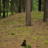 Mohylové pohřebiště u Vitína