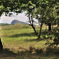 dul-bilina_05