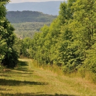dul-bilina_07