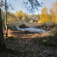 soos_06