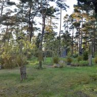 etnograficky-hrbitov-nida_06