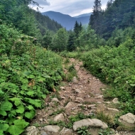 Nízké Tatry | Cesta z Trangošky na Štefáničku