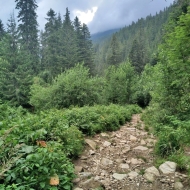 Nízké Tatry | Cesta z Trangošky na Štefáničku