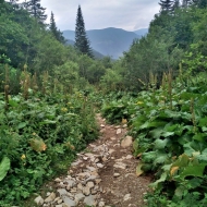 Nízké Tatry | Cesta z Trangošky na Štefáničku