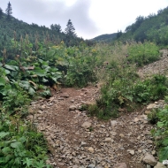 Nízké Tatry | Cesta z Trangošky na Štefáničku