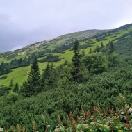 Nízké Tatry | Cesta z Trangošky na Štefáničku