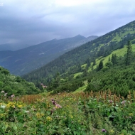 Nízké Tatry | Cesta z Trangošky na Štefáničku