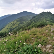 Nízké Tatry | Cesta z Trangošky na Štefáničku