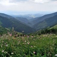 Nízké Tatry | Cesta z Trangošky na Štefáničku