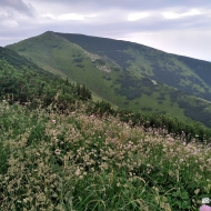 Nízké Tatry | Cesta z Trangošky na Štefáničku