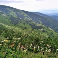 Nízké Tatry | Cesta z Trangošky na Štefáničku