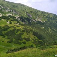 Nízké Tatry | Závěr ledovcové doliny u Štefáničky