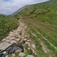 Nízké Tatry | Cesta od Štefáničky na Krúpové sedlo