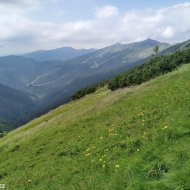 Nízké Tatry | Cesta od Štefáničky na Krúpové sedlo