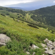 Nízké Tatry | Cesta od Štefáničky na Krúpové sedlo