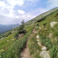 Nízké Tatry | Cesta od Štefáničky na Krúpové sedlo