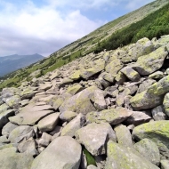 Nízké Tatry | Cesta od Štefáničky na Krúpové sedlo