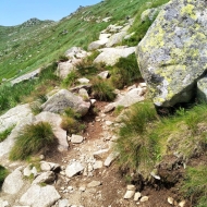 Nízké Tatry | Cesta od Štefáničky na Krúpové sedlo