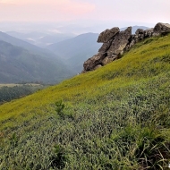 Nízké Tatry | Cesta z Krúpového sedla na Chopok