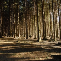 Okolí Hlinska