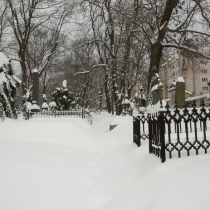 olsany-zima_01