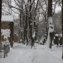 olsany-zima_12