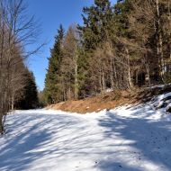 orlicke-hory-kamenny-vrch_05