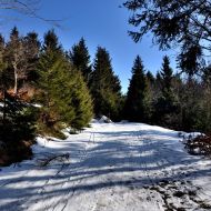 orlicke-hory-kamenny-vrch_17