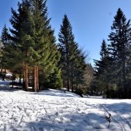 orlicke-hory-kamenny-vrch_18