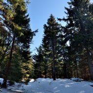 orlicke-hory-kamenny-vrch_20