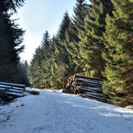 orlicke-hory-kamenny-vrch_26