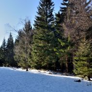 orlicke-hory-kamenny-vrch_27