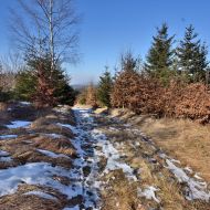 orlicke-hory-kamenny-vrch_29