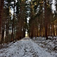 orlicke-hory-kamenny-vrch_35