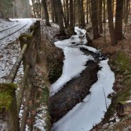 orlicke-hory-kamenny-vrch_36