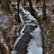 orlicke-hory-kamenny-vrch_37