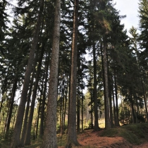 Ostaš - Kočičí skály