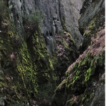 Ostaš - Kočičí skály