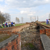 Osvětim