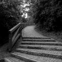 Petřín