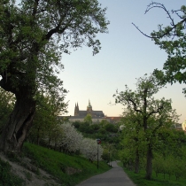 Petřín